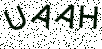 点击图片
