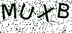 点击图片